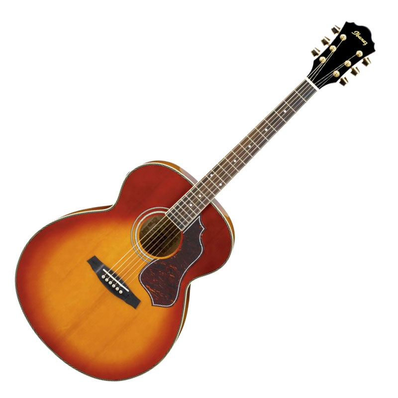 Ibanez sgt on sale